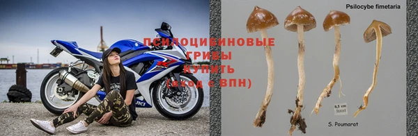 эйфоретик Алексеевка