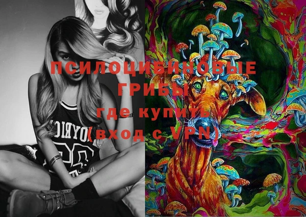 гашик Алзамай