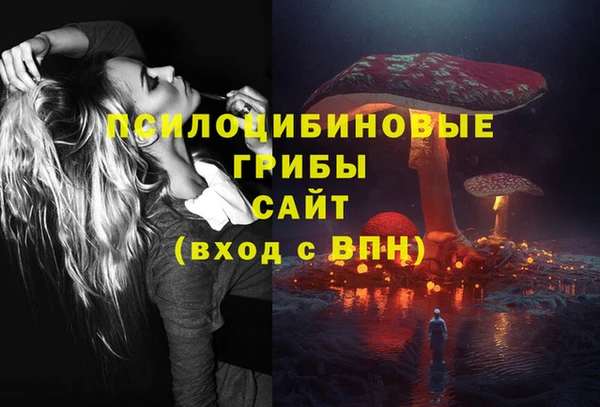 эйфоретик Алексеевка